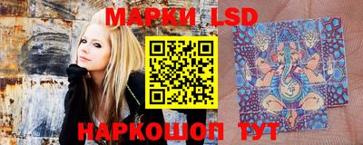 ешки Бийск